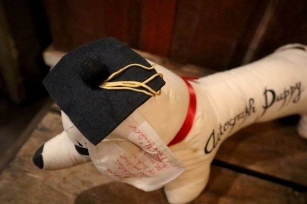 画像8: ct-250319-33 Jerry Elsner Co. 1960's〜 Autograph Puppy Doll