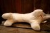 画像11: ct-250319-33 Jerry Elsner Co. 1960's〜 Autograph Puppy Doll