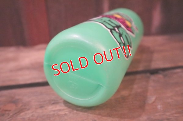 画像7: ct-250404-25 TEENAGE MUTANT NINJA TURTLES (TMNT) / 1990 Plastic Bottle