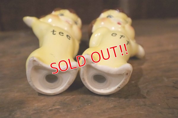 画像8: ct-250405-07 Tasty Freeze 1960's tee & eff  Salt & Pepper Shaker