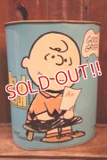 ct-250205-77 Snoopy & Charlie Brown / CHEINCO 1970's Trash Box