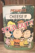 ct-250205-77 PEANUTS / CHEINCO 1960's-1970's Trash Can