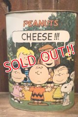ct-250205-77 PEANUTS / CHEINCO 1960's-1970's Trash Can