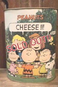 ct-250205-77 PEANUTS / CHEINCO 1960's-1970's Trash Can