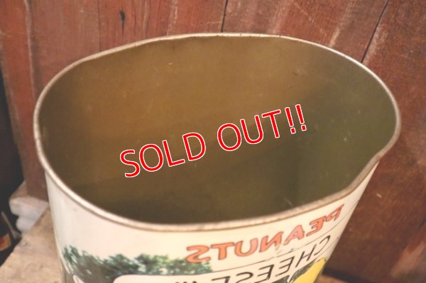 画像11: ct-250205-77 PEANUTS / CHEINCO 1960's-1970's Trash Can