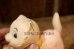 画像5: ct-250205-30 UNKNOWN 1960's〜 KITTEN RUBBER DOLL
