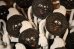 画像8: ct-250618-04 Nabisco OREO 1990's Dairy Queen Novelty Bendable Figure
