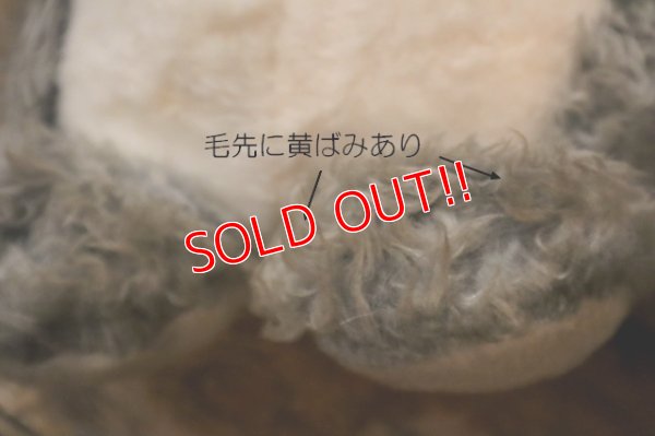 画像9: ct-250618-06 BIG AL / 1970's Plush Doll