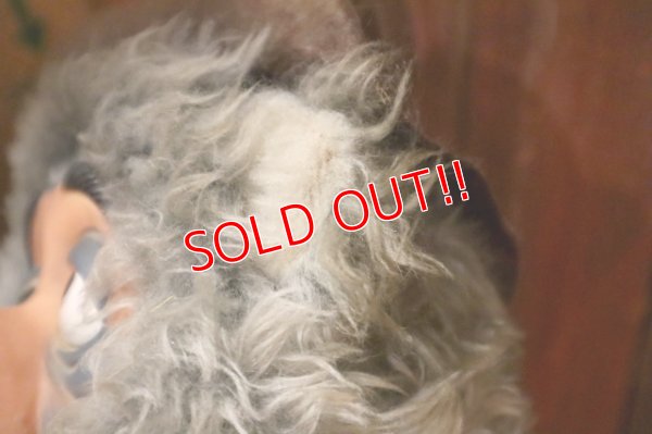 画像6: ct-250618-06 BIG AL / 1970's Plush Doll