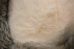 画像8: ct-250618-06 BIG AL / 1970's Plush Doll