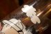 画像7: gt-250618-13 Daffy Duck & Porky Pig / PEPSI 1976 Collector Series Glass (A)艶なし