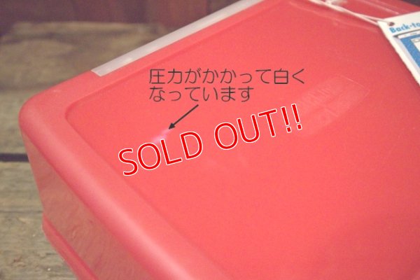 画像8: ct-250618-07 JURASSIC PARRK / THERMOS 1993 Plastic Lunch Box