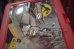 画像4: ct-250618-07 JURASSIC PARRK / THERMOS 1993 Plastic Lunch Box