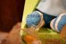 画像4: ct-250319-13 the Simpsons / Bart Simpson 1990's Stick On Doll