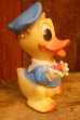 画像2: ct-250618-07 Donald Duck / Ledraplastic 1960's Squeaky Doll (S) (2)