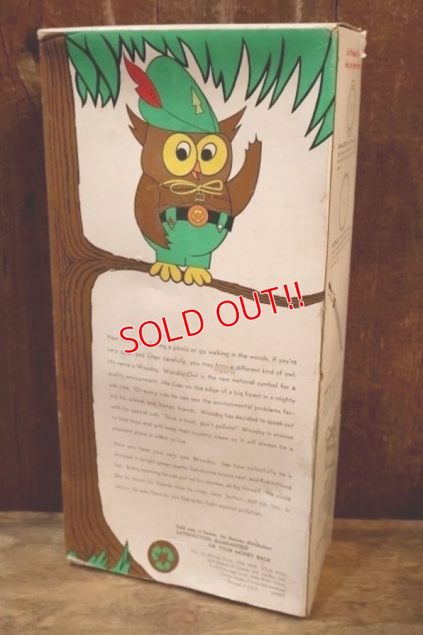 画像12: ct-250801-07 Woodsy Owl / Amway 1970's Teach 'N' Play Pre-School Toy