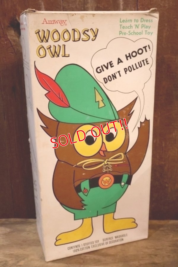 画像11: ct-250801-07 Woodsy Owl / Amway 1970's Teach 'N' Play Pre-School Toy