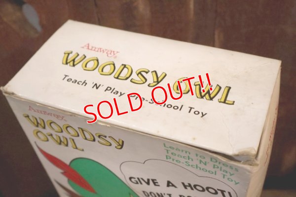 画像13: ct-250801-07 Woodsy Owl / Amway 1970's Teach 'N' Play Pre-School Toy