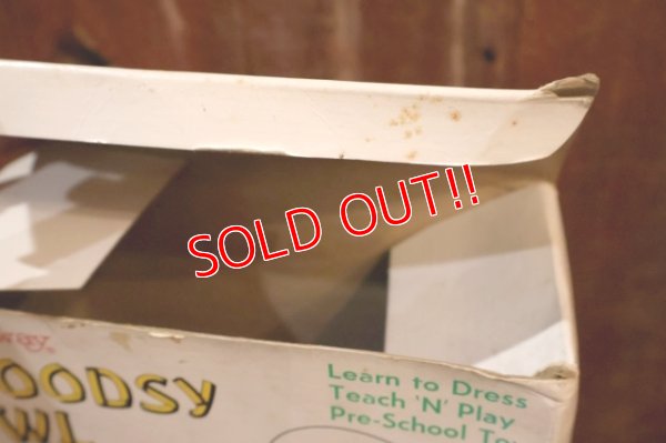 画像16: ct-250801-07 Woodsy Owl / Amway 1970's Teach 'N' Play Pre-School Toy