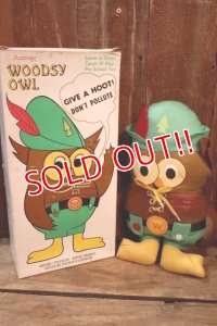 ct-250801-07 Woodsy Owl / Amway 1970's Teach 'N' Play Pre-School Toy