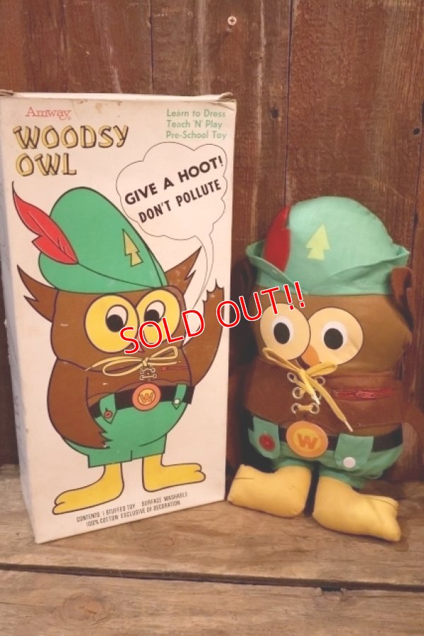 画像1: ct-250801-07 Woodsy Owl / Amway 1970's Teach 'N' Play Pre-School Toy