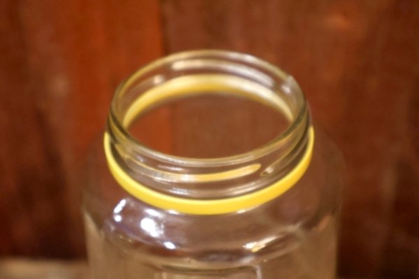 画像8: ct-240508-125 PLANTERS / 2000's Glass Jar