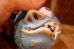 画像5: gt-250618-09 MADBALLS / AMTOY 1985 Series 1 "AARGH"
