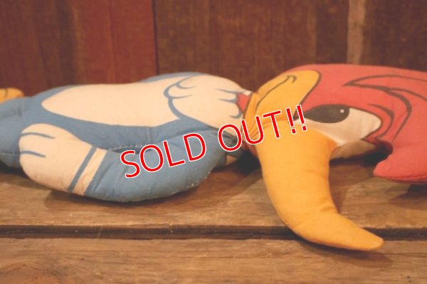 画像6: ct-250802-19 WOODY WOODPECKER 1970's PILLOW DOLL