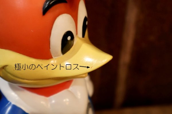 画像5: ct-250701-07 WOODY WOODPECKER 1996 UNIVERSAL STUDIOS DRINK BOTTLE