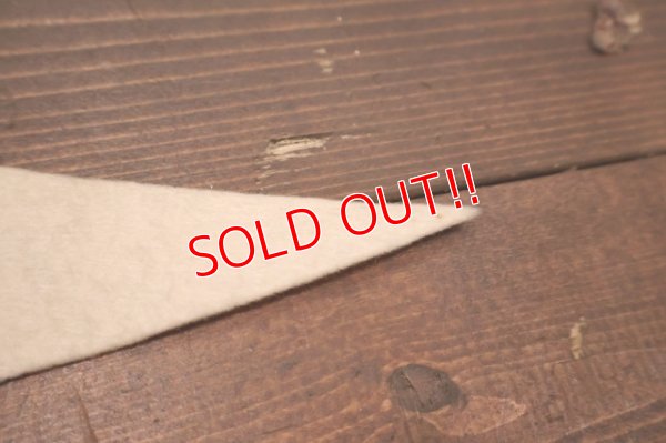 画像5: dp-250728-01 Michigan State University / Michigan State Spartans 1974 Pennant