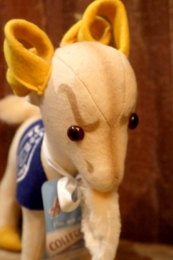 画像2: ct-250901-01 United States Navy (U.S.N.) GREAT LAKES / Collegiate Manufacture 1950's "Bill the Goat" Doll