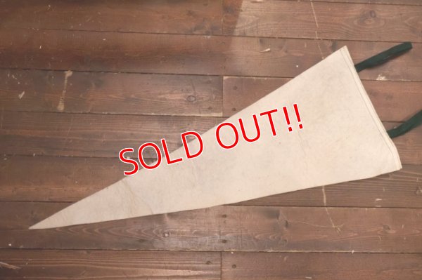 画像7: dp-250728-01 Michigan State University / Michigan State Spartans 1974 Pennant