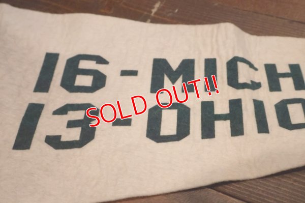 画像3: dp-250728-01 Michigan State University / Michigan State Spartans 1974 Pennant