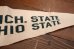 画像4: dp-250728-01 Michigan State University / Michigan State Spartans 1974 Pennant