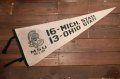 dp-250728-01 Michigan State University / Michigan State Spartans 1974 Pennant