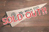 dp-250728-01 Michigan State University / Michigan State Spartans 1974 Pennant