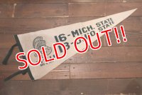 dp-250728-01 Michigan State University / Michigan State Spartans 1974 Pennant
