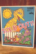 ct-250802-30 Big Bird & Little Bird / Playskool 1970's Wood Frame Tray Puzzle