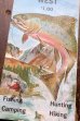 画像2: dp-250728-05 UINTA LAKES WEST 1969 MAP & GUIDE (2)