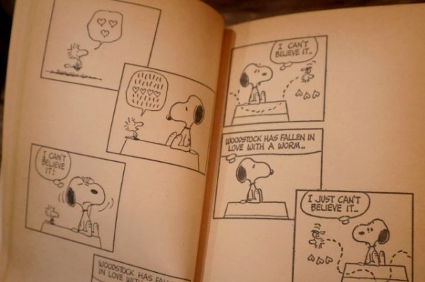 画像4: ct-220801-48 PEANUTS / 1970's Comic "YOU'RE ON YOUR OWN, SNOOPY"