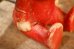 画像10: ct-250803-02 Sally Brown / Hungerford 1958 Doll