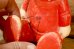 画像11: ct-250803-02 Sally Brown / Hungerford 1958 Doll