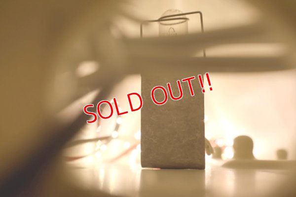 画像12: dp-250930-02 PAPA JOHN'S PIZZA / 1990's Delivery Car Sign