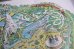 画像6: ct-250930-12 Disneyland 1979 Map Poster