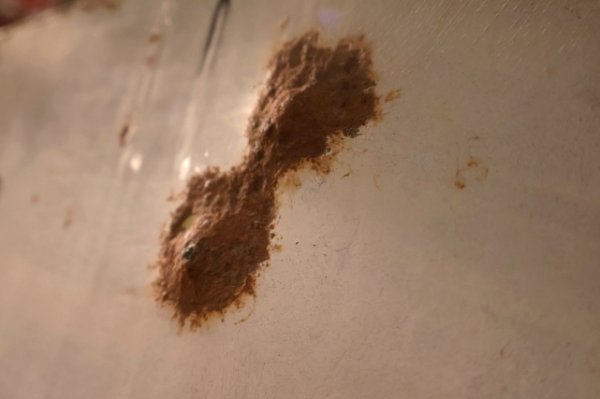 画像18: dp-251008-22 SWEET-ORR 1920's-1930's Porcelain Sign