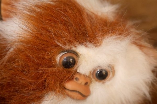 画像7: ct-251010-11 GRENLiNS / Quiron 1993 GIZMO PLUSH DOLL (A)