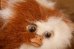 画像7: ct-251010-11 GRENLiNS / Quiron 1993 GIZMO PLUSH DOLL (A) (7)