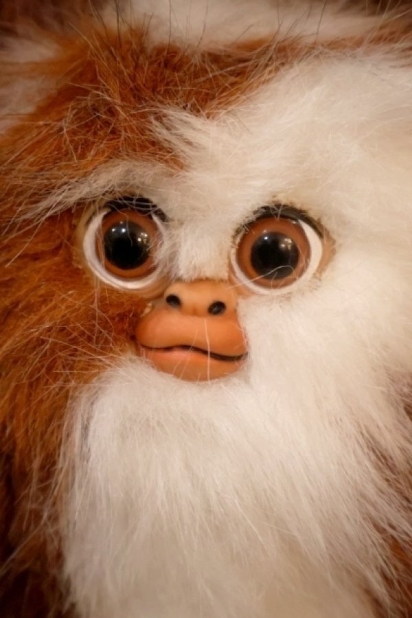 画像2: ct-251010-12 GRENLiNS / Quiron 1993 GIZMO PLUSH DOLL (B)