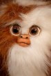 画像2: ct-251010-12 GRENLiNS / Quiron 1993 GIZMO PLUSH DOLL (B) (2)