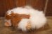画像4: ct-251010-12 GRENLiNS / Quiron 1993 GIZMO PLUSH DOLL (B) (4)